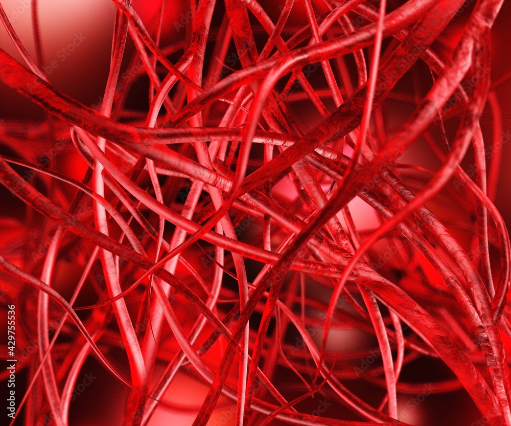 Blood vessels, circulatory system, veins and arteries, 3D rendering Blood vessels, circulatory system, veins and arteries, 3D rendering