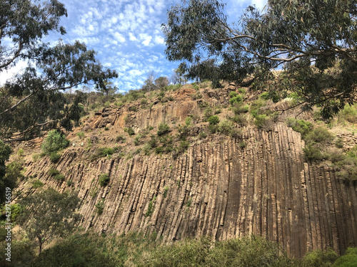 Organ Pipes National Park — Landscape