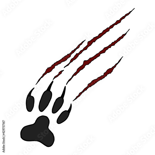 Vector illustration animal footprint and scratches on white background. Cat's scratched paw.