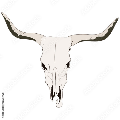 Bull skull vector. Buffalo Bison Native American Skull Tattoo Tribal Style