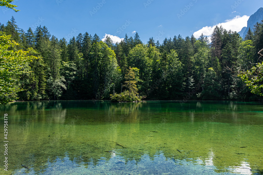 Beautiful crystal clear lake in the forest of the Bavarian Alps,  Germany