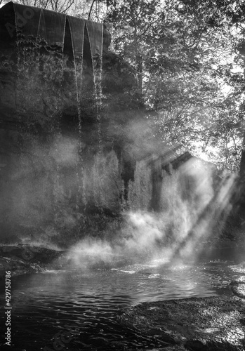 waterfall in the forest