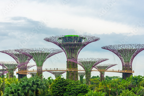 SINGAPORE, 3 OCTOBER 2019: The supertrees of Gardens by the Bay
