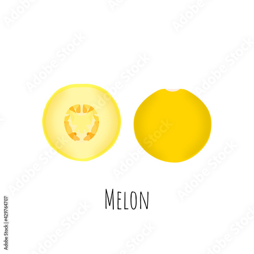 Whole and halved melon fruit isolated on white