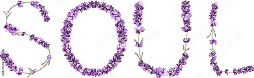 vector inscription SOUL made in the form of lavender sprigs in bright colors vector inscription SOUL made in the form of lavender sprigs in bright colors
