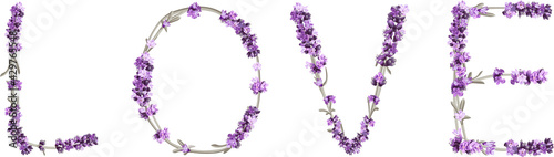 vector inscription LOVE made in the form of lavender sprigs in bright colors