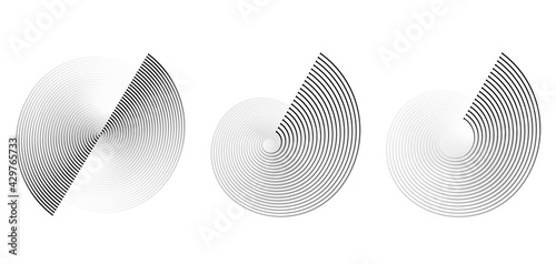 Circular spiral sound wave rhythm from lines on white background. photo