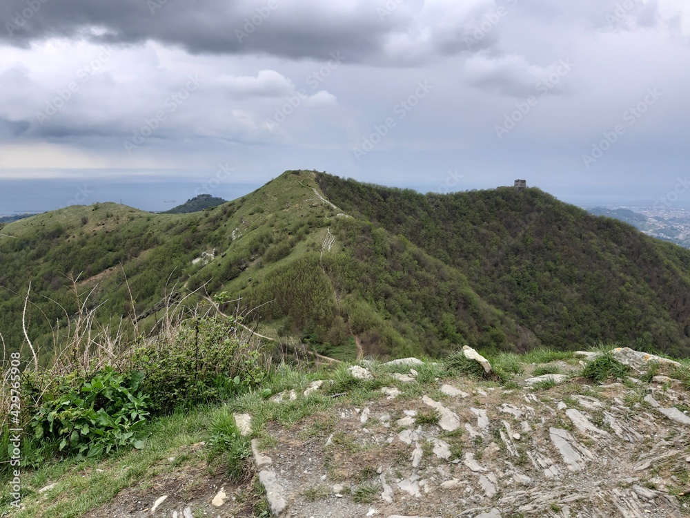 Discovering the mountains around Genoa. Panoramic view to the city. Grey sky in the background. First green leaves in spring.