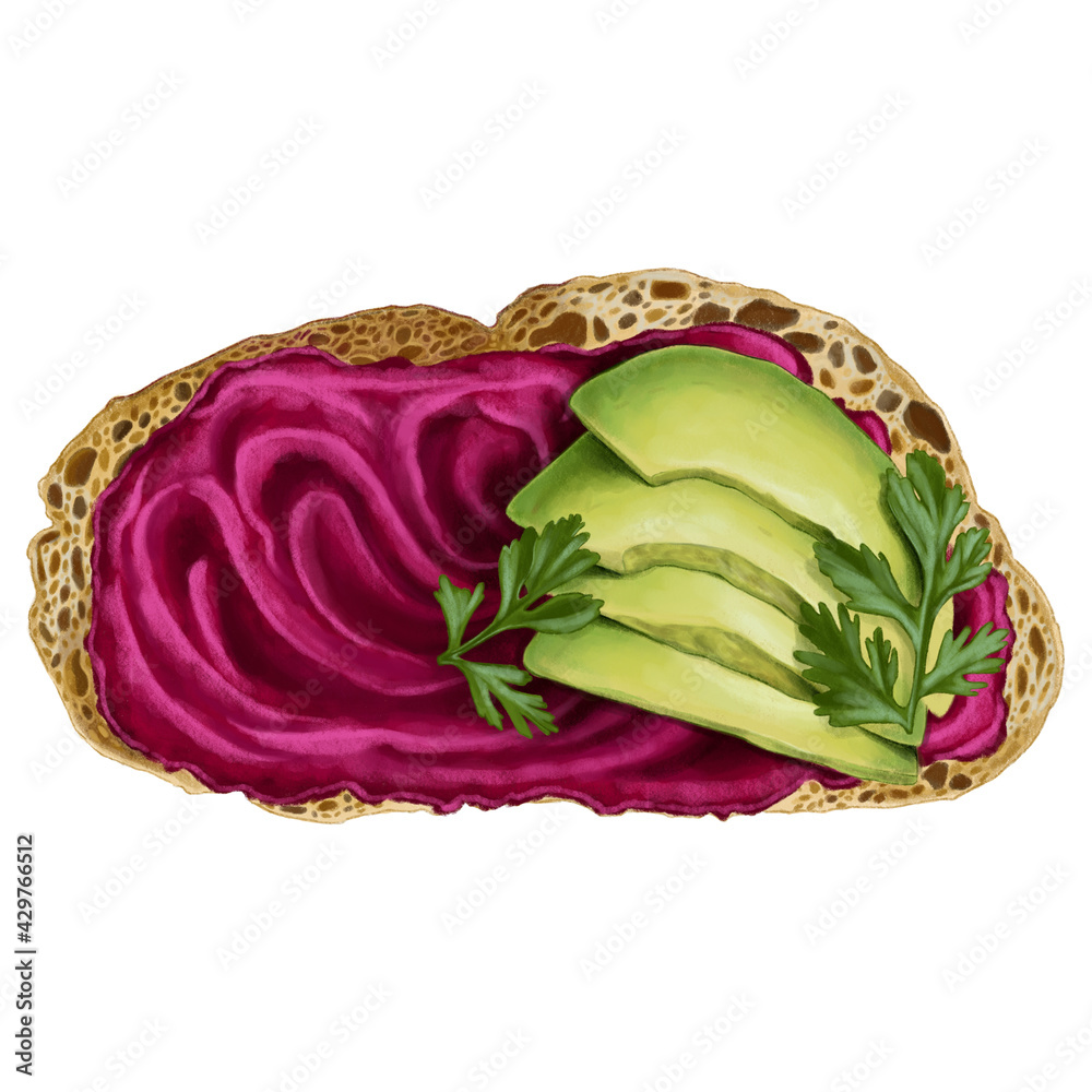 Fototapeta premium Beet Hummus Toast with Fresh Avocado illustration isolated on white background