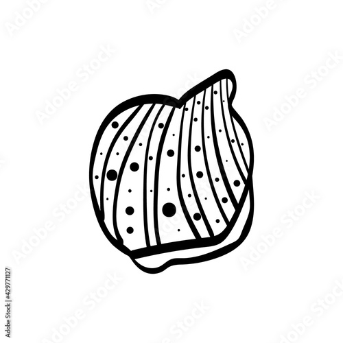 seashell bivalve scallop puxidatus doodle. Black and white coloring. Cute monochrome print for printing on fabric, paper, wallpaper, packaging. Summer goods. Vector illustrations, drawings