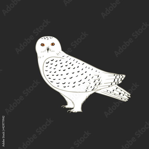 Polar owl illustration on dark background. White or snowy owl realistic vector