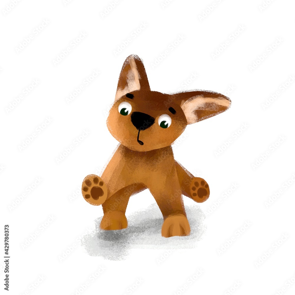dog dog