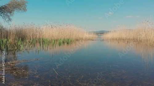 4k footage of reeds and grasses surrounding the lake at Kenfig Nature Reserve moving gently in the breeze. The blue sky and lake provide copy space for text. A nature landscape perfect for backgrounds photo