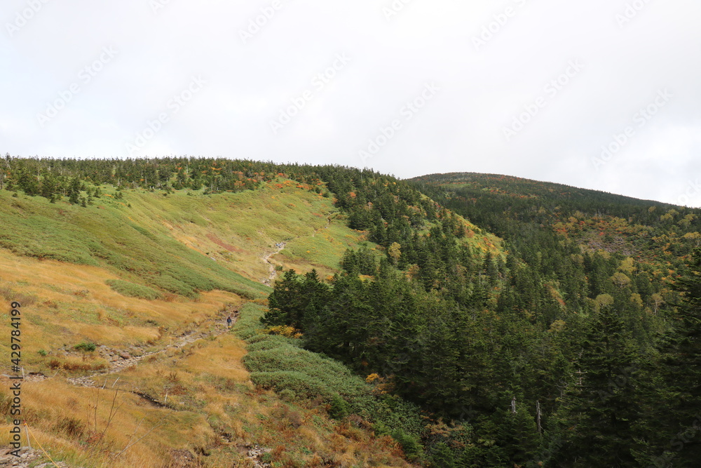 福島県の裏磐梯の西大顚から西吾妻山の登山 福島県の裏磐梯の西大顚から西吾妻山の登山