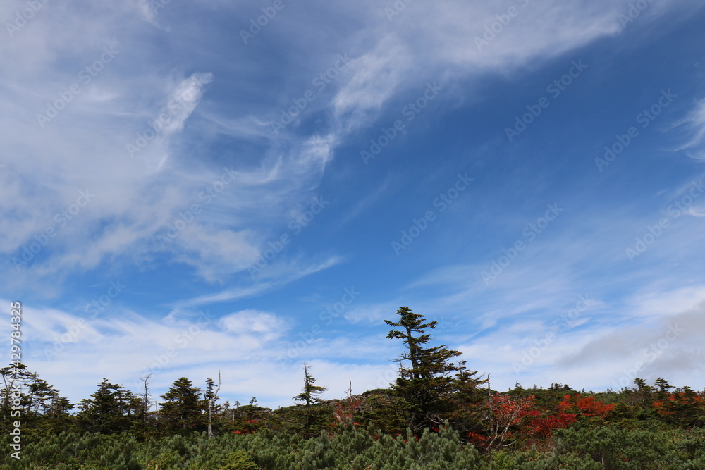 福島県の裏磐梯の西大顚から西吾妻山の登山