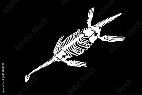 Graphical skeleton of Loch ness monster isolated on black,water dinosaur fossils