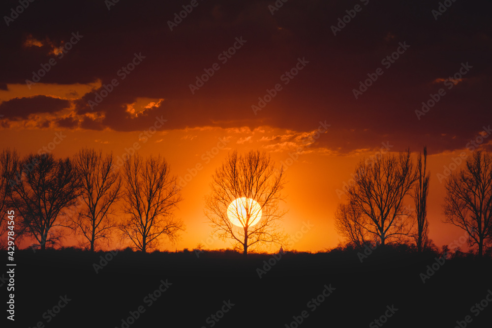 Beautiful and warm sunset vibes with the sun behind a tree silhouette in the german countryside. Calm and peaceful natural countryside evening scene with golden tones and dramatic colors and contrast. Beautiful and warm sunset vibes with the sun behind a tree silhouette in the german countryside. Calm and peaceful natural countryside evening scene with golden tones and dramatic colors and contrast.