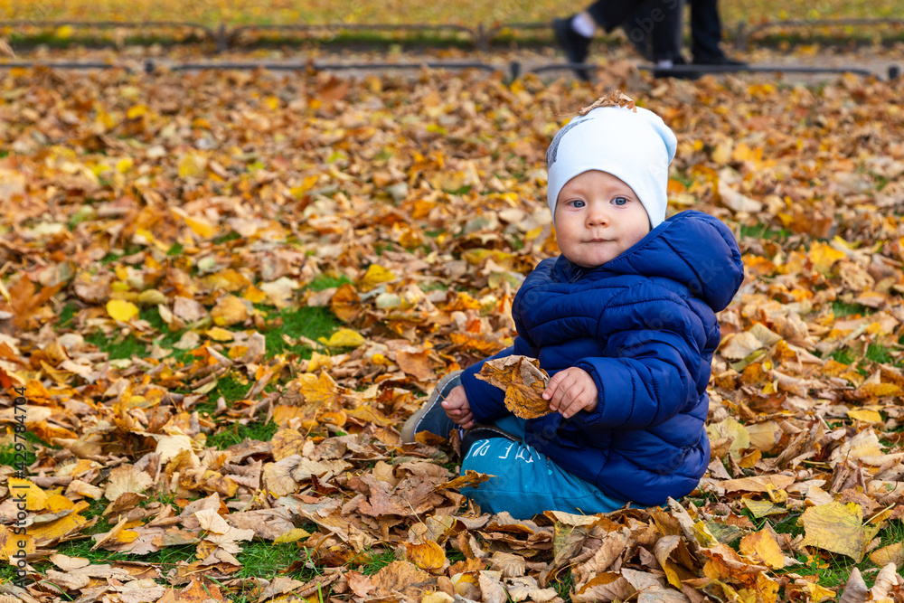 beautiful funny one year old baby peeks out sits on the grass in the autumn park with a blue cap with a star beautiful funny one year old baby peeks out sits on the grass in the autumn park with a blue cap with a star
