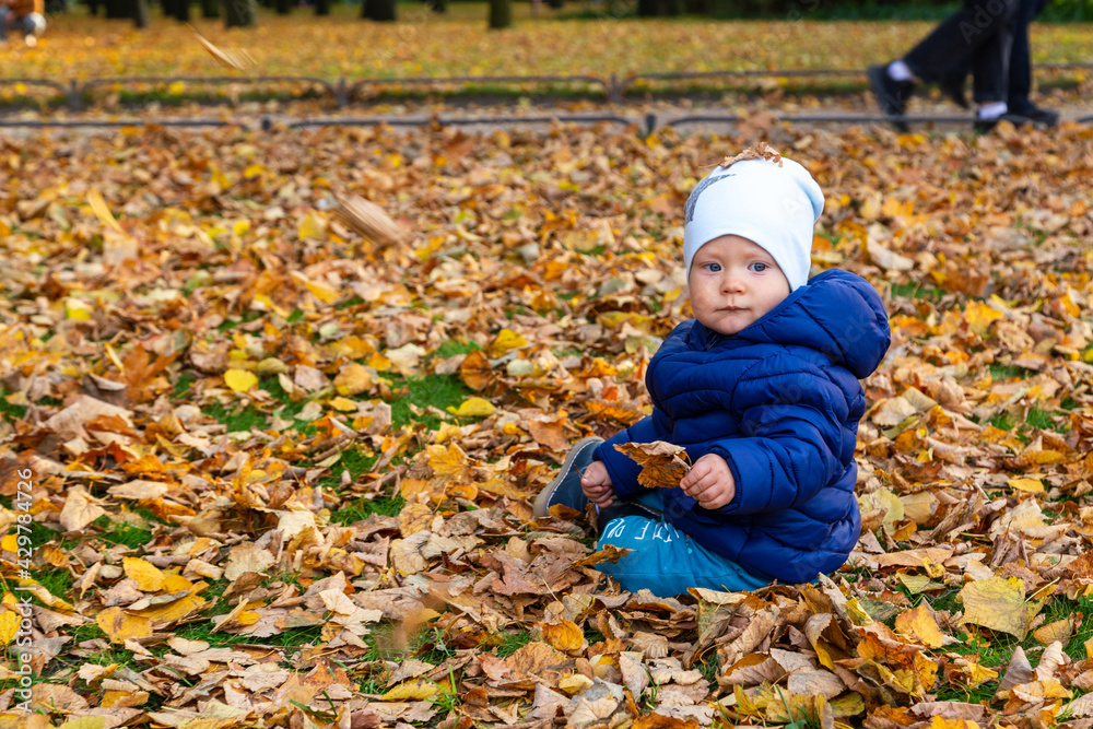 little child playing with autumn leaves little child playing with autumn leaves