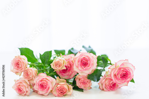 pink roses bouquet in white background