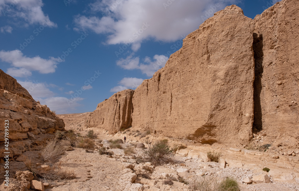 Male hiker on a hiking trail in a remote desert region of the Northern Negev. Panoramic landscape of a white stone bed of a dry wadi Hava. Impressive high vertical sandstone walls of the canyon.