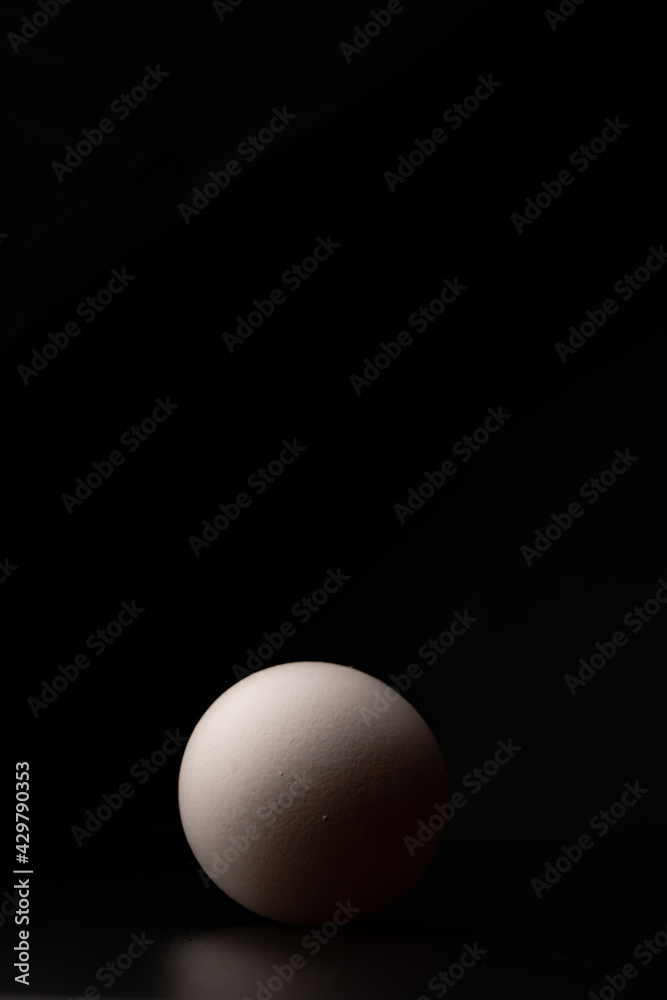 Egg Egg