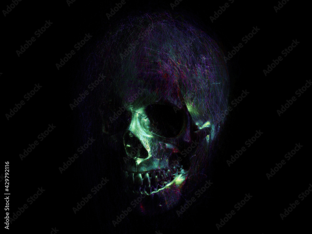 skull on black, background image, long-exposure photo, death