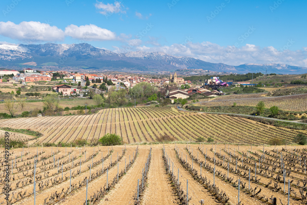panoramic views of elciego town with famous winery at background