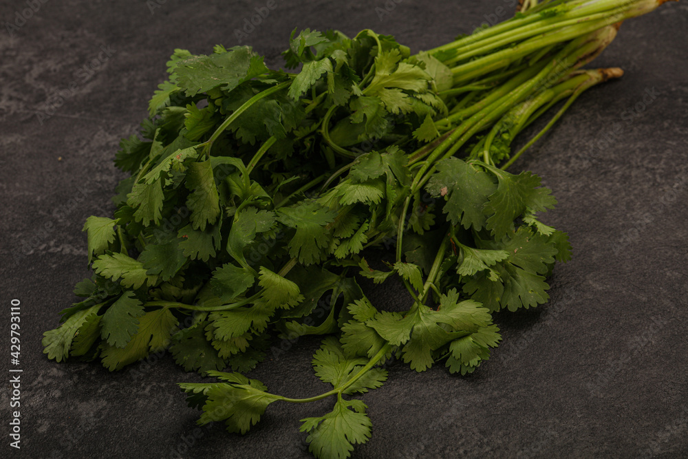 Green coriander or cilanto leaves heap Green coriander or cilanto leaves heap