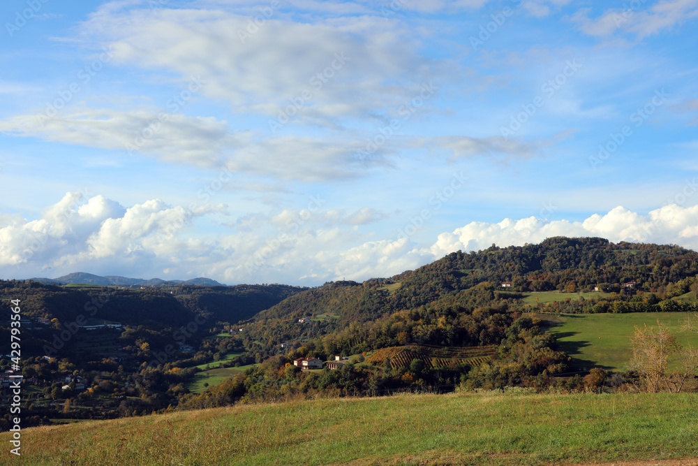 hilly panorama with meadows and rolling hills on a sunny day