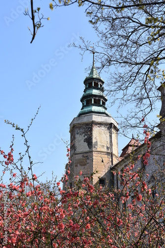 Zamek Niemodlin, zabytki w Polsce, Opolskie photo