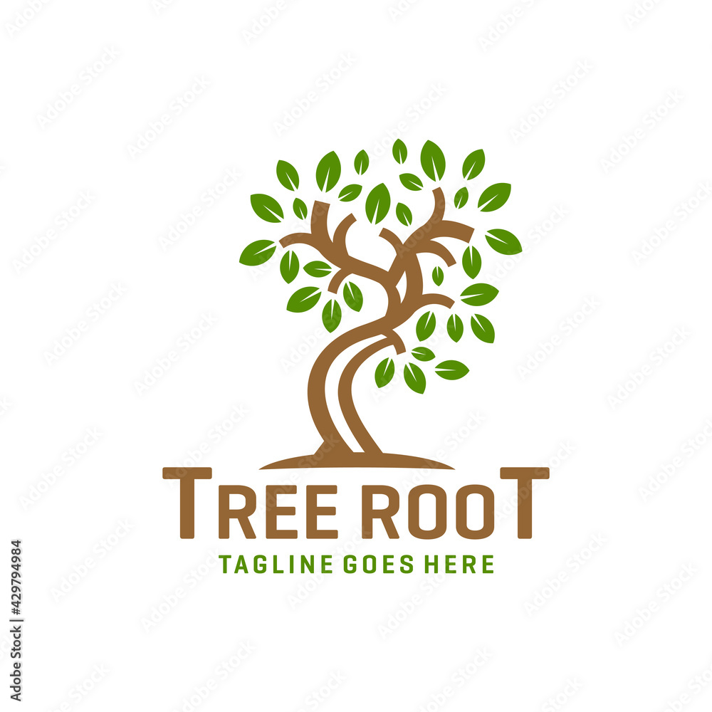 Obraz premium plant root tree logo design