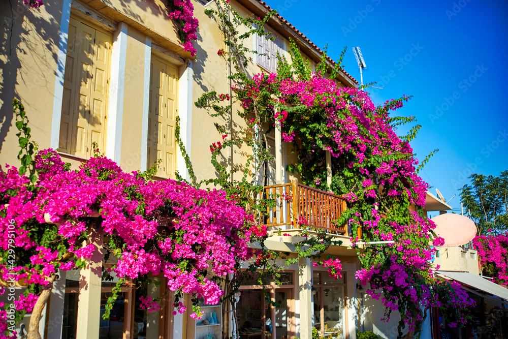 Fototapeta premium Purple flowers decorate the balconies of the building.