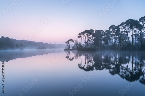tranquil misty sunrise over a lake near Oisterwijk, Dutch landscape blue hour photo