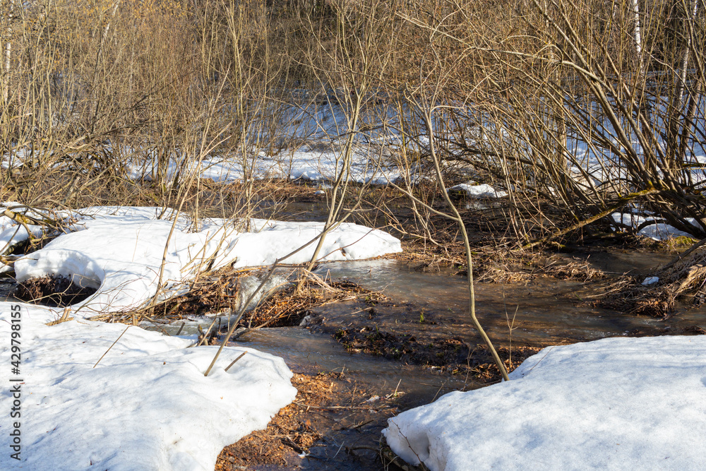 After the Winter Snow is Melting, the Flow of Water in Wooded Area. spring. a stream in the forest. thawing areas. Little creek After the Winter Snow is Melting, the Flow of Water in Wooded Area. spring. a stream in the forest. thawing areas. Little creek