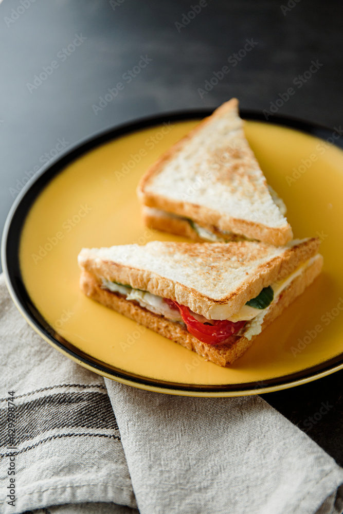 Sandwich with chicken, tuna, pork or vegetables. A quick tasty snack. Toasted crispy toast
Sandwich with chicken, tuna, pork or vegetables. A quick tasty snack. Toasted crispy toast