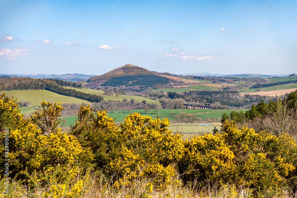 View of the Scottish Borders from Eildon Hill North