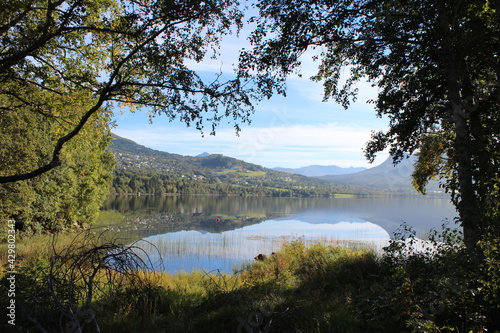 lake in the forest