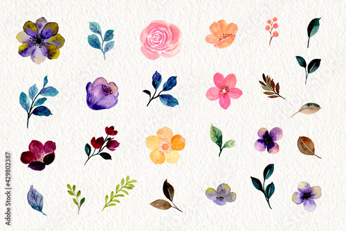 Watercolor floral and leaf element collection