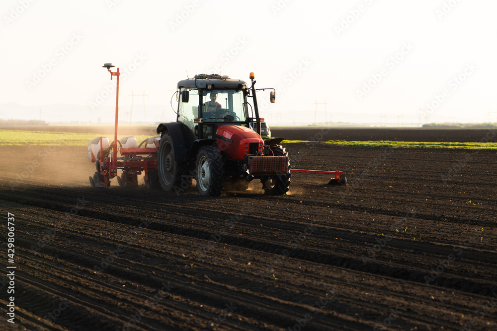 Obraz premium Farmer with tractor seeding