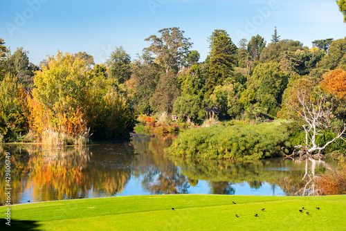 Fotografie, Obraz picturesque landscape in the public park - Queen Victoria Gardens, Melbourne, Au