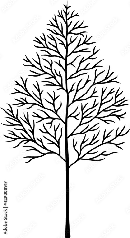 Obraz premium Vector illustration of the leafless tree