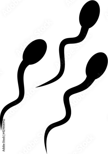 Vector illustration of the sperm cells