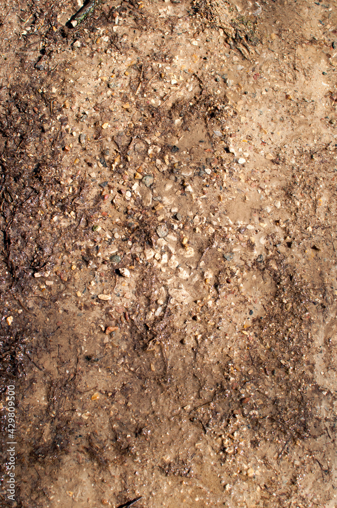 Background, texture, design. Small stones on wet ground made of melted snow. Background, texture, design. Small stones on wet ground made of melted snow.