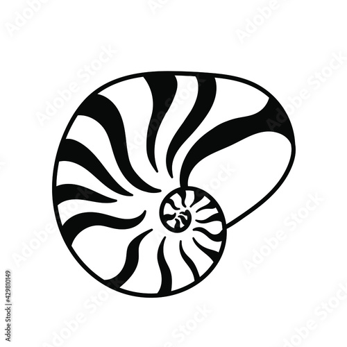 sea and ocean life. exotic seashell. nautilus shell snail shell isolated icon