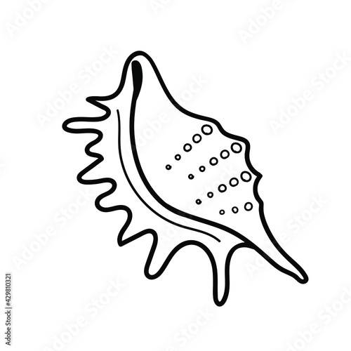 Hand-Drawn Lambis Scorpius Seashll. Black and white collection of greeting square cards. Vector illustration.  photo