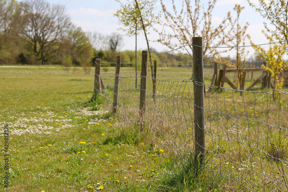 Fence in a field fence post