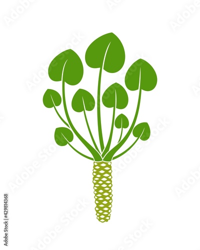Wasabi plant  logo. Isolated wasabi root on white background