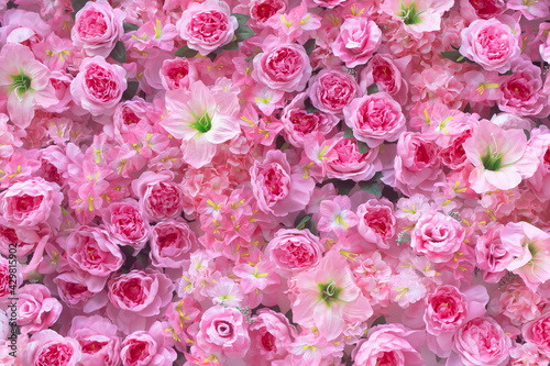 Pink flower background rose flowers wall for background and wallpaper © merrymuuu