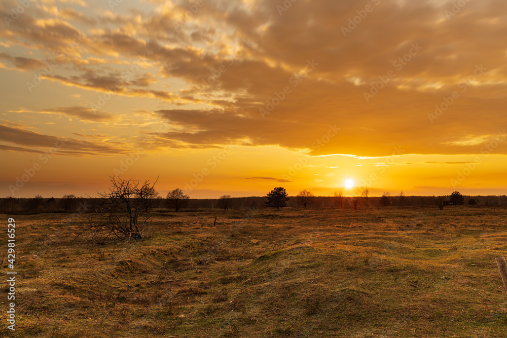 Sonnenuntergang in Döberitzer Heide Sonnenuntergang in Döberitzer Heide